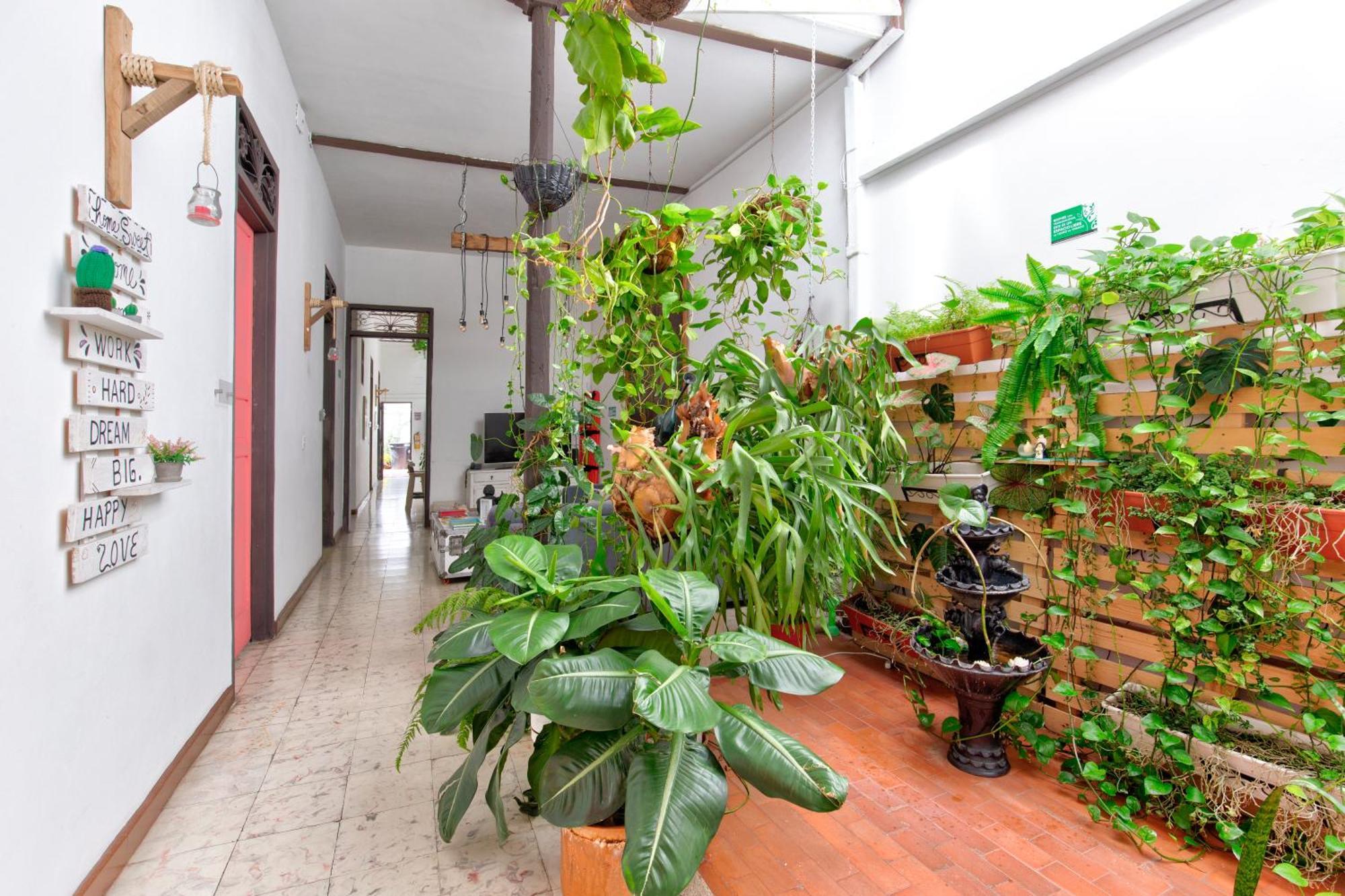 Casa Blanca San Antonio Hostal Boutique Cali Zewnętrze zdjęcie